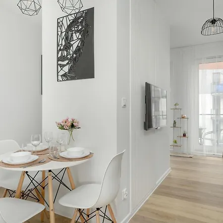 Spacious Niemena With Free Garage By Renters * Poznan