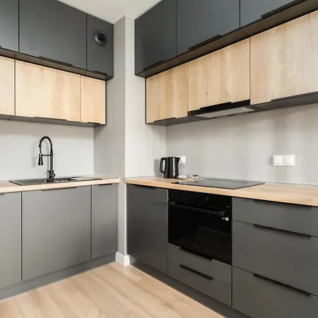 Apartment Spacious Niemena With Free Garage By Renters Poznan