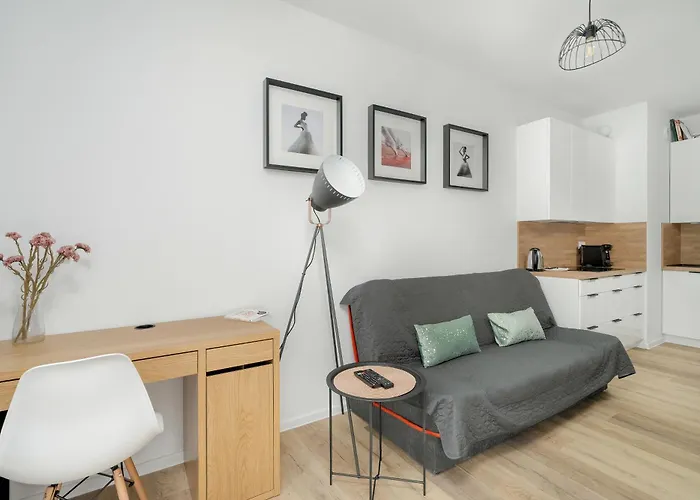 Apartament Spacious Niemena With Free Garage By Renters