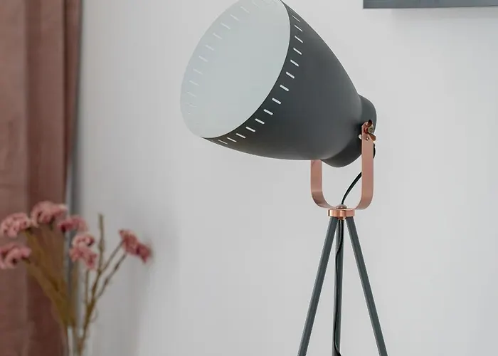 Spacious Niemena With Free Garage By Renters Apartament *