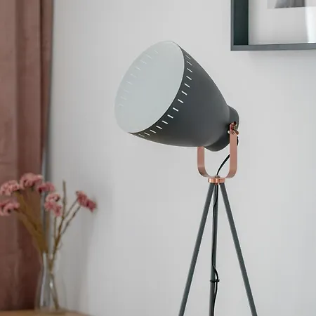 Spacious Niemena With Free Garage By Renters Apartment *