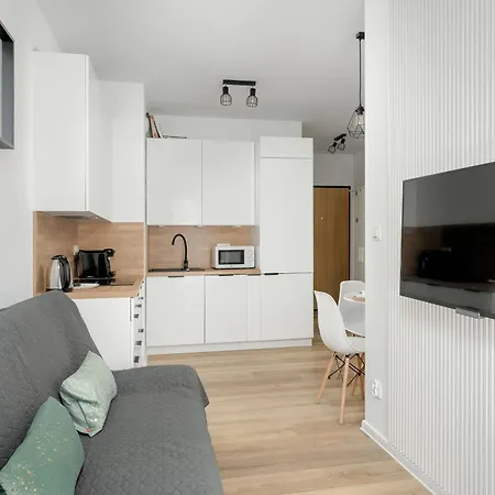 Spacious Niemena With Free Garage By Renters شقة *