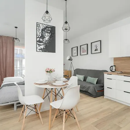 Apartment Spacious Niemena With Free Garage By Renters