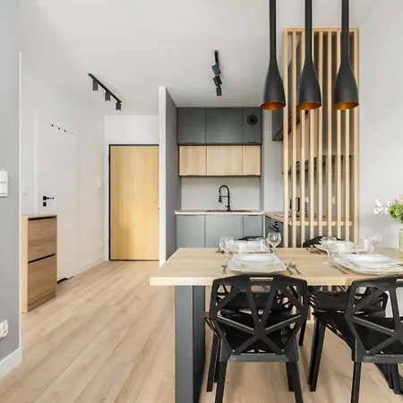 Spacious Niemena With Free Garage By Renters شقة