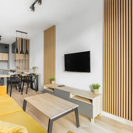 Spacious Niemena With Free Garage By Renters Πόζναν