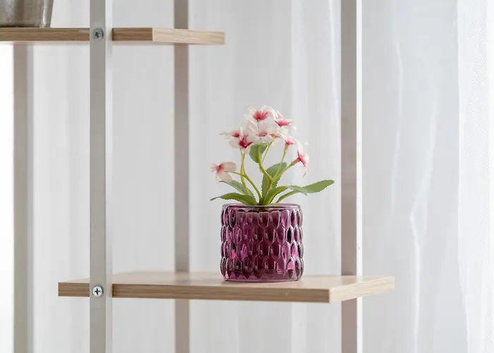 Spacious Niemena With Free Garage By Renters