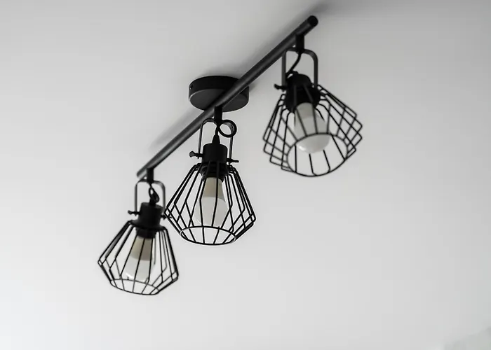 Spacious Niemena With Free Garage By Renters *