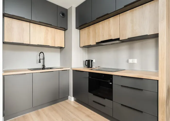 Appartement Spacious Niemena With Free Garage By Renters Poznań